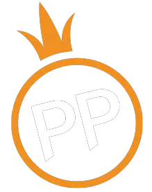pp电子官网Logo
